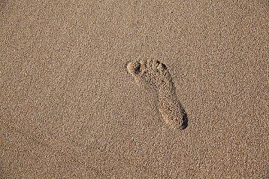 TGA 2023颁奖典礼：《黏黏世界2》正式公布明年发售